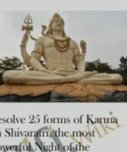 Resolve 25 forms of Karma on Shivaratri, the most Powerful Night of the Year for Karma Clearing