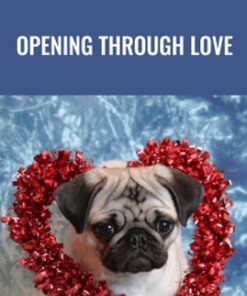 Opening Through LOVE - Rudy Hunter