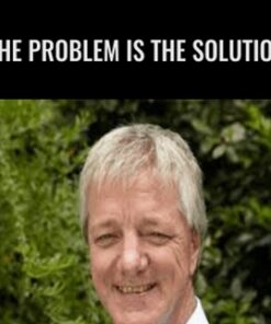 The Problem is The Solution - Stephen Gilligan