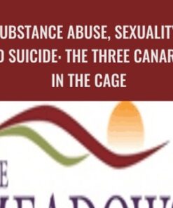 Substance Abuse, Sexuality, and Suicide: The Three Canaries in the Cage - Patrick Carnes
