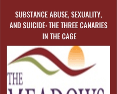 Substance Abuse, Sexuality, and Suicide: The Three Canaries in the Cage - Patrick Carnes