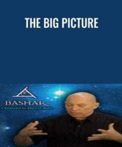 The Big Picture - Bashar