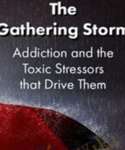 The Gathering Storm: Addiction and the Toxic Stressors that Drive Them - Patrick Carnes