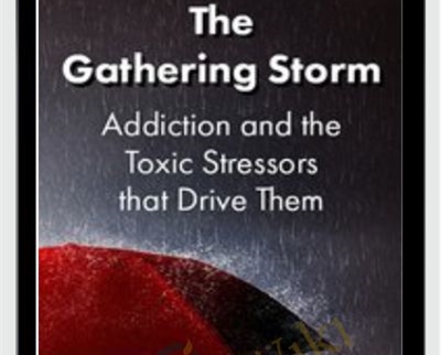 The Gathering Storm: Addiction and the Toxic Stressors that Drive Them - Patrick Carnes