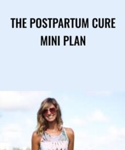 The Postpartum Cure MINI Plan - Katie Pickett
