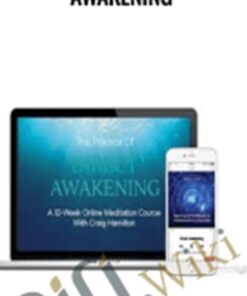 The Practice Of Direct Awakening - Craig Hamilton