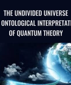 The Undivided Universe: An Ontological Interpretation of Quantum Theory - David Bohm & Basil J. Hiley