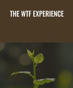 The WTF Experience - Amir Zoghi