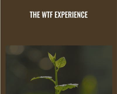 The WTF Experience - Amir Zoghi