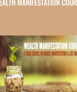 Wealth Manifestation Course - Kris Dillard
