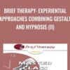 Brief Therapy: Experiential Approaches Combining Gestalt and Hypnosis (II) - Jeffrey Zeig & Erving Polster