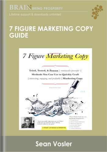 7 Figure Marketing Copy Guide – Sean Vosler