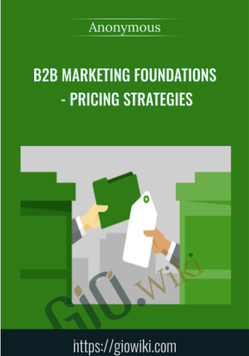 B2B Marketing Foundations – Pricing Strategies