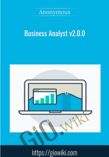 Business Analyst V2.0.0