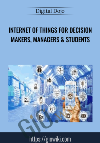 Internet Of Things For Decision Makers, Managers & Students – Digital Dojo