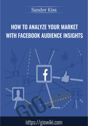 How To Analyze Your Market With Facebook Audience Insights – Sandor Kiss