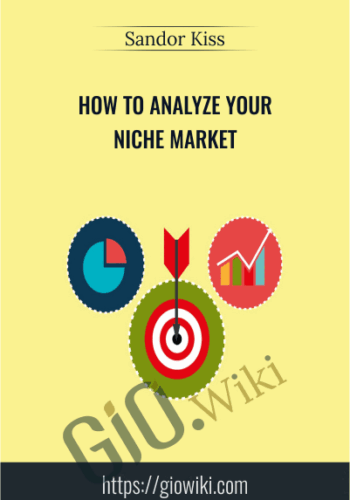 How To Analyze Your Niche Market – Sandor Kiss