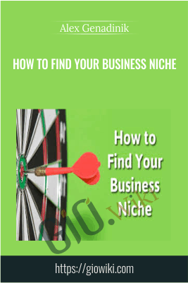 How To Find Your Business Niche – Alex Genadinik