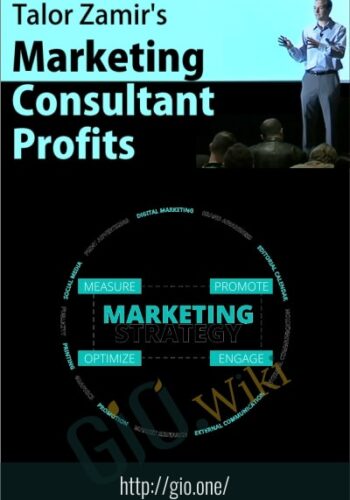 Marketing Consultant Profits - Talor Zamir