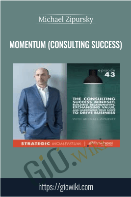 Momentum (Consulting Success) – Michael Zipursky