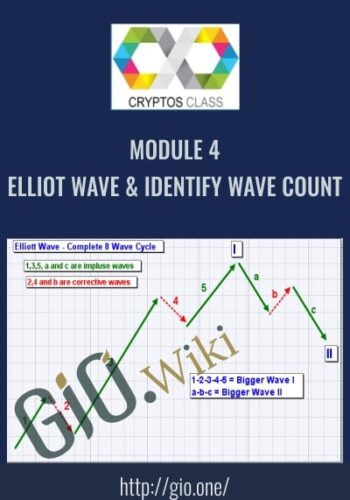 Module 4 Elliot Wave & Identify Wave Count