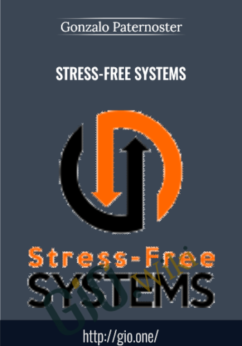 Stress-Free Systems - Gonzalo Paternoster