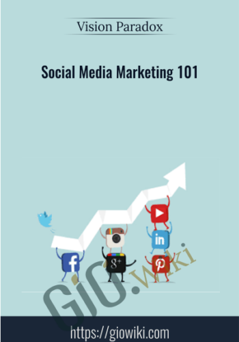 Social Media Marketing 101 – Vision Paradox