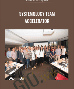 Systemology Team Accelerator – Dave Jenyns