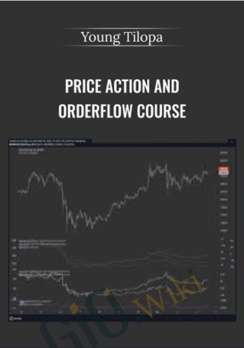 Price Action And Orderflow Course – Young Tilopa