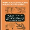 InterGalactics Endocrine Healing: Nature's Inner Pharmacopeia mp3s - Presence Healing Inc