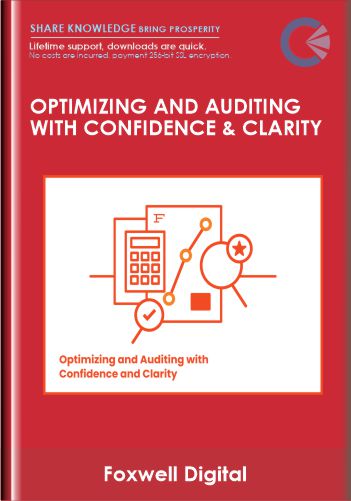Optimizing And Auditing With Confidence And Clarity – Foxwell Digital