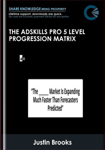 The AdSkills Pro 5 Level Progression Matrix – Justin Brooks (AdSkills)