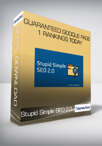Stupid Simple SEO 2.0 Advanced - Guaranteed Google Page 1 Rankings Today