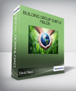 David Nicol - Building Group Subtle Fields