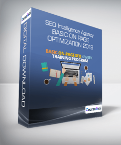 SEO Intelligence Agency - Basic On Page Optimization 2019