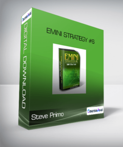 Steve Primo - Emini Strategy #6