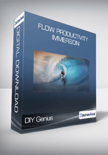 DIY Genius – Flow Productivity Immersion