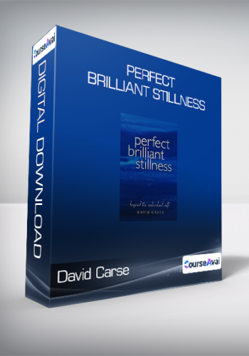 David Carse – Perfect Brilliant Stillness