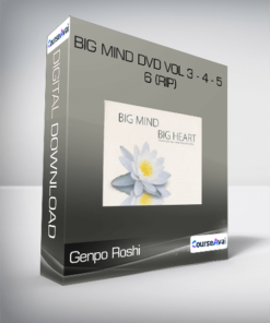 Genpo Roshi - Big Mind DVD Vol 3 - 4 - 5 - 6 (Rip)