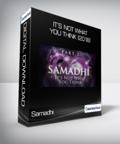 Samadhi - It’s Not What You Think (2018)