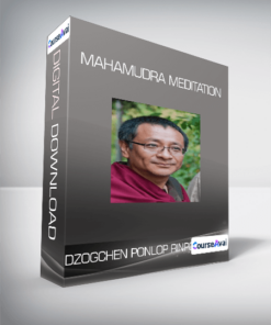 Dzogchen Ponlop Rinpoche - Mahamudra Meditation