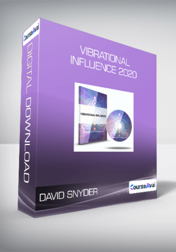 David Snyder - Vibrational Influence 2020