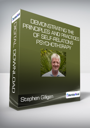 Stephen Gilligan - Demonstrating the Principles and Practices of Self-Relations Psychotherapy