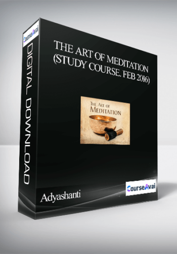 Adyashanti – The Art of Meditation (Study Course. Feb 2016)