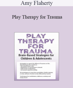 Amy Flaherty - Play Therapy for Trauma: Brain-Based Strategies for Children & Adolescents