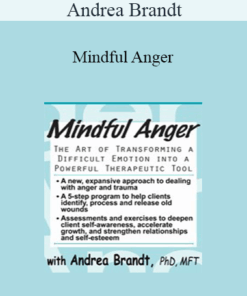 Andrea Brandt - Mindful Anger: The Art of Transforming a Difficult Emotion into a Powerful Therapeutic Tool