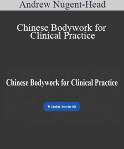 Andrew Nugent-Head – Chinese Bodywork for Clinical Practice