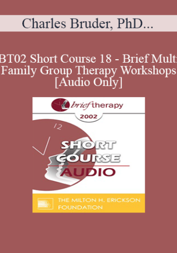 [Audio Only] BT02 Short Course 18 - Brief Multi-Family Group Therapy Workshops: A New Solution for Our Times - Charles Bruder, PhD, Kimball DelaMare, LCSW, Jared Balmer, PhD, Rick Jackson, MD