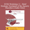 [Audio Only] BT06 Workshop 11 - Brief Strategic Treatment of the Anxiety Disorders - R. Reid Wilson