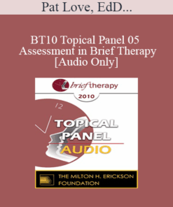 [Audio] BT10 Topical Panel 05 - Assessment in Brief Therapy - Pat Love